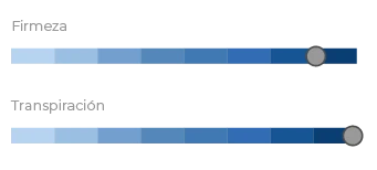 Somiers Lamina Ancha